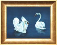 2 swans